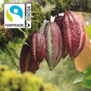 Foto Fairtrade Kakao - Nobis Printen Aachen